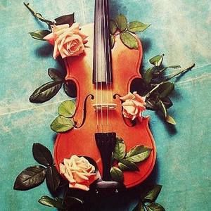 Meet your Posher, Payton